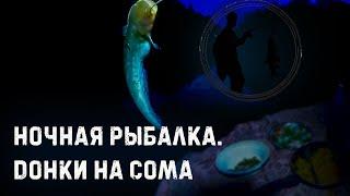 Рыбалка на сома. Ночная рыбалка.