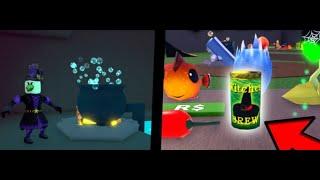 Wacky Wizards [WITCH QUEST‍️] Новый квест ведьма  Игра волшебники Roblox  Witches Brew Ingredient