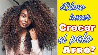 ¿Cómo hacer crecer el pelo afro, natural, rizado?|COMPROBADO|Tips