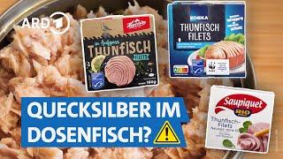 Thunfisch aus der Dose im Test 2025 – welcher ist am besten? | Marktcheck SWR