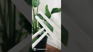 C & G Tuners #tuningfork #soundtherapy #birdofparadise #therapy #wellness #alchemy #healing #peace