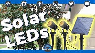 LED Solar Spot lights for my Outdoor Tree!