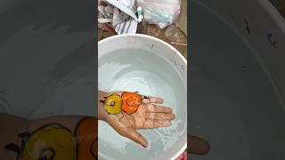 How to draw  chiken in easy way and  3D with Magic pen #shorts