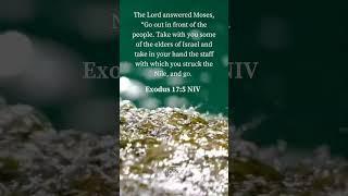 Biblescape ( Exodus 17 : 5 NIV)