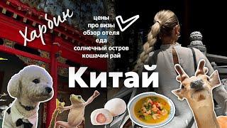 Путешествие в КИТАЙ | Харбин! Обзор отеля, цены, про визы, пробуем необычную еду