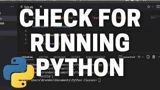 How to Check for Other Running Python Scripts in Python - Python Process Tutorial