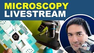 Microscopes for kids and looking at the Foldscope