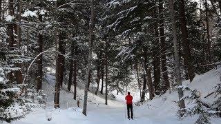 Cross Country Skiing | A Pure Michigan Winter