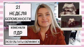 21 НЕДЕЛЯ БЕРЕМЕННОСТИ // ПЕРЕНЕСЛИ ПДР // РЕЗУЛЬТАТЫ СКРИНИНГА // ОЧЕРЕДНОЙ ПРИЁМ У ГИНЕКОЛОГА