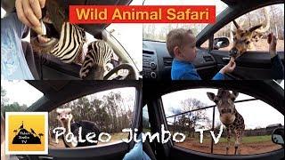 Wild Animal Safari - Paleo Jimbo
