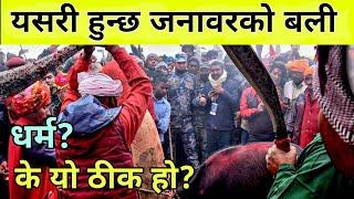 दशैको नवमीको दिन मन्दिरमा जनावरकाे बली | के यो ठीक हो? | InterNepal