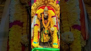 muruga#pangunimonth #illaliworld #illan #veneers #kalam #thiruneeru #thiruneermalai #palani #velan
