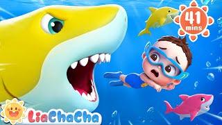 Baby Sharks in the Water | Ten Little Sharks | Number Song | Kids Songs & Nursery Rhymes | LiaChaCha