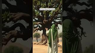 Abu Ubaidah ibn Al-Jarrah The Trustworthy Warrior #short #history