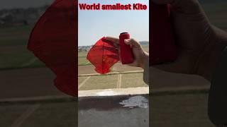 World smallest kite #Small kite Making and flying Test #dunia ki sab sy Chuti Patang #Tarzan Kites