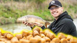 Hard Pellet Fishing To Islands! | Carp fishing on the pole