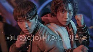 Kdrama intro : Bloodhounds