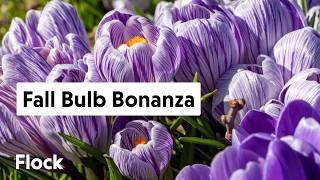 FALL BULB Planting Bonanza — Ep. 280