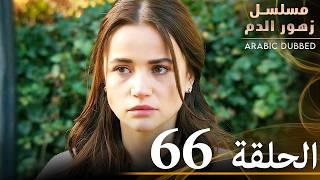 الحلقة 66 | مسلسل زهور الدم | مدبلج بالعربية | Kan Çiçekleri