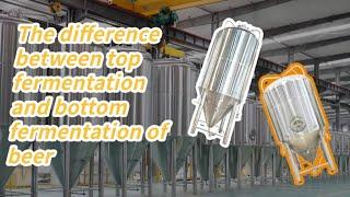 Beer brewery knowledge: Difference between top fermentation process and bottom fermentation process