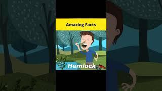 Top 3 Amazing Nature Facts  @MRINDIANHACKER  @CrazyXYZ  || #shorts || #FactBeast