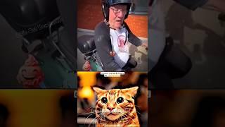 ONE OF MY FAV SHORT  #cat #meme #dance #trending