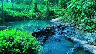 Beautiful river water flowing soothes the mind, meditation, deep sleep