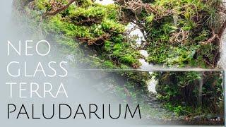 DOOA Neo Glass Terra - Paludarium with Waterfall