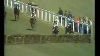 Alan Partridge - Horse racing commentary.