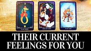 PICK A CARD Their CURRENT FEELINGS For YOU!  They want you to know THIS!  Love Tarot Reading