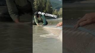 When The 26,000th Fish Is Most Memorable.
