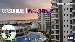 What can Ceaser Blue in Northern Cyprus offer you? | Avalon Group