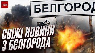  Бєлгородщина - що відбувається? СВІЖІ вечірні новини!