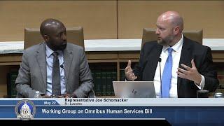 Working Group on Omnibus Human Services Appropriations - 05/22/25