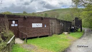 RED KITES  AT GIGRIN FEEDING STATION IN WALES FILMED IN MAY 2021 4K