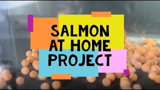 Salmon at Home Project 2021