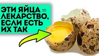 Почему медицина это скрывает?! Ведь перепелиные яйца лучше куриных, потому что...