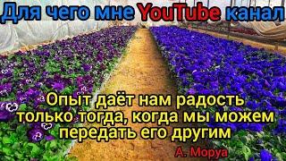 МОИ ПЛАНЫ, ЦЕЛЬ и МЕЧТА в YouTubeПочему Вы должны смотреть мой канал и что я Вам могу дать100 тыс.