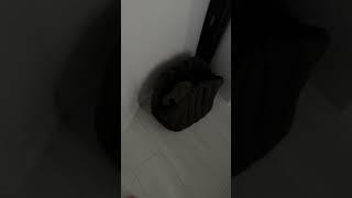 От кого,от кого,от тещи я такого не ожидалинст:sarkison7