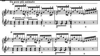 Liszt - Gnomenreigen / AUDIO | Martin IVANOV, piano