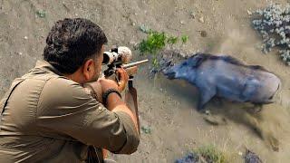 EXCITING DRIVEN HUNTING, LONG RANGE WILD BOAR SHOTS #hunting #hog