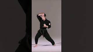 TONFA MOVEMENTS | RYUKYU KOBUDO, OKINAWA KOBUDO  #shorts