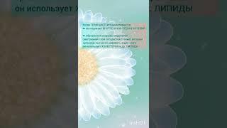 Гомоцистеин/ Как снизить гомоцистеин/ #гомоцистеин #анализы #здоровье #диета