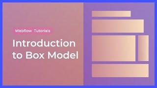 Introduction to Box Model in websites