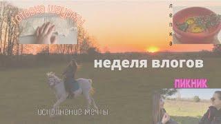 Готовлю шаурму | Пикник на улице | исполняю свою мечту |неделя влогов дни 2-3