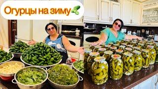 РЕЦЕПТ МАРИНОВАННЫХ ОГУРЦОВ  ОТ АРУСИ КАВКАЗ. ВКУСНЫЕ, ХРУСТЯЩИЕ, МАРИНОВАННЫЕ ОГУРЧИКИ НА ЗИМУ.