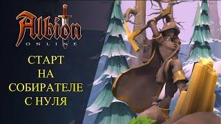 Albion online : СТАРТ С НУЛЯ НА СОБИРАТЕЛЕ КАК ФАРМИТЬ ?