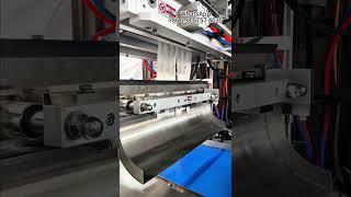 Automatic multi column coffee sugar filling machine,Sugar packets packing machine#sachet #filling
