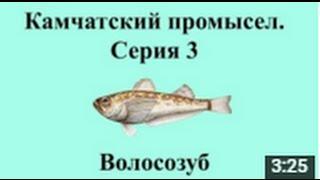 Русская Рыбалка 3.99 Камчатский промысел -Волосозуб