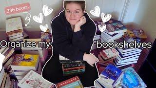 Organizing and decorating my bookshelves// 200+ books 